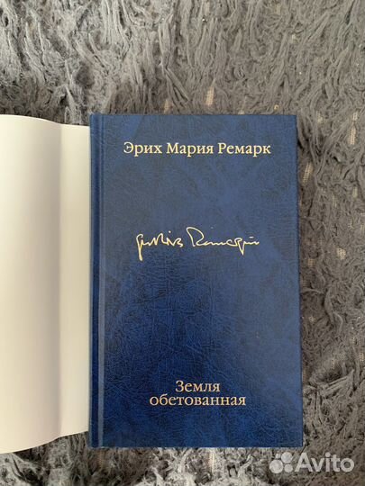 Эрих Мария Ремарк — Земля обетованная