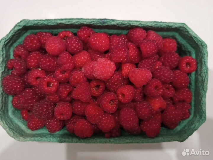 Малина от фермера