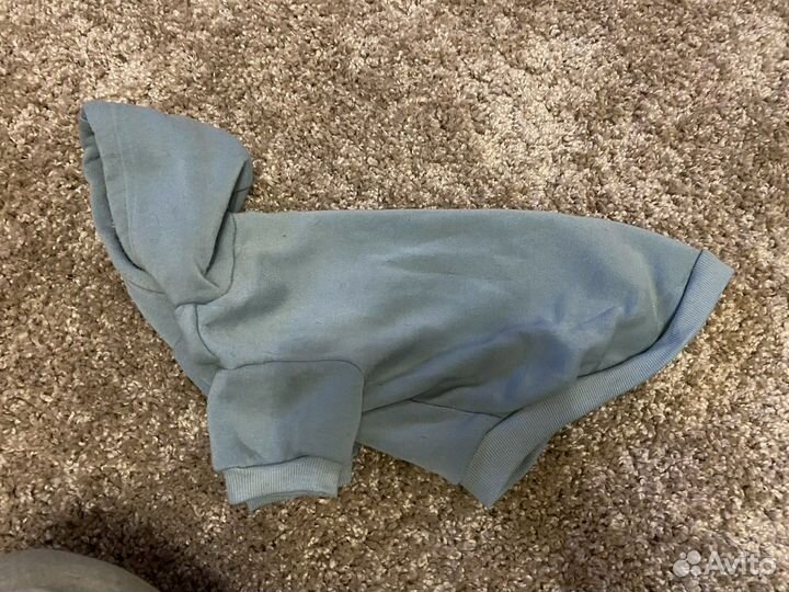 Одежда для собак