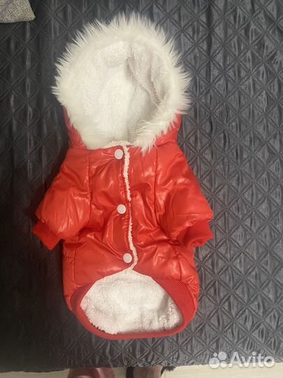 Куртка для собак мелких пород
