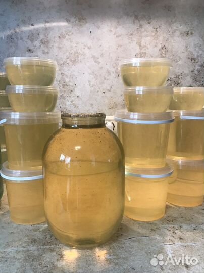 Мед Майский 2023г, гречка, липа, кориандр