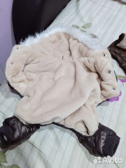 Куртка и комбенизон для мини-собак и кошек