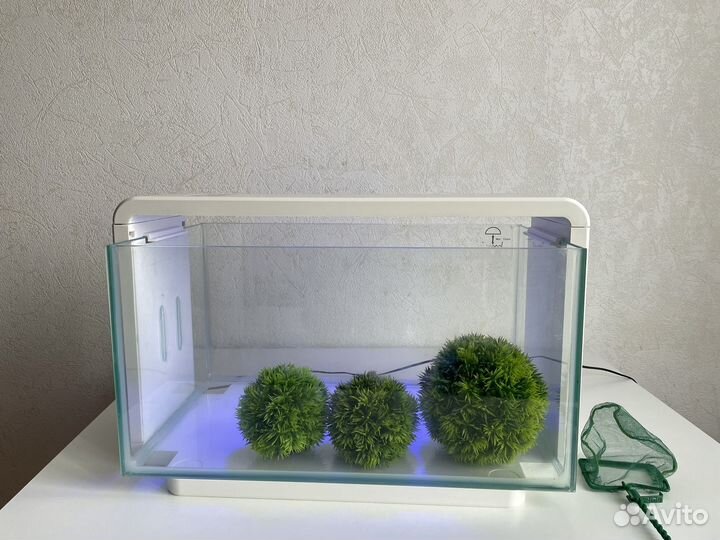 Аквариум