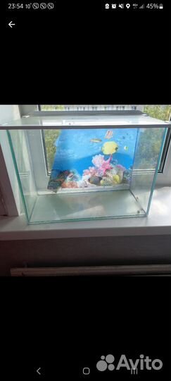 Аквариум