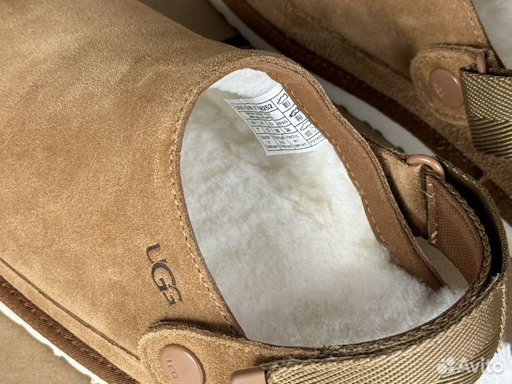 Угги сабо UGG Goldenstar Clog Chestnut (4 цвета)