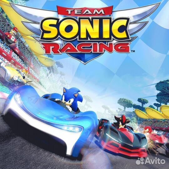 Team Sonic Racing PS4 PS5