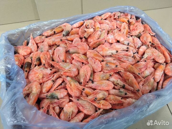 Креветки с корабля мурманские (5 кг - коробка)