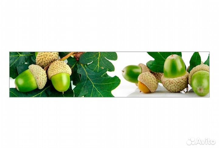 Кухонный фартук абс. Желуди