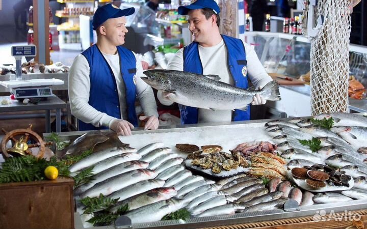 Готовый бизнес: рыбный магазин с покупателями