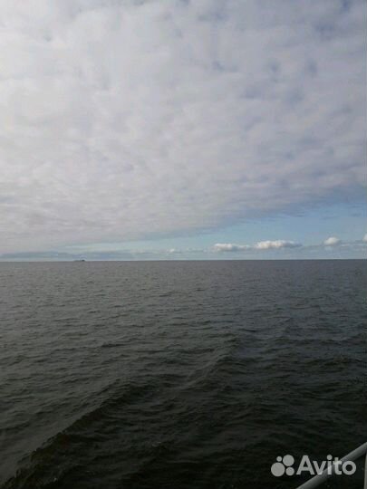 Грузоперевозки водным транспортом