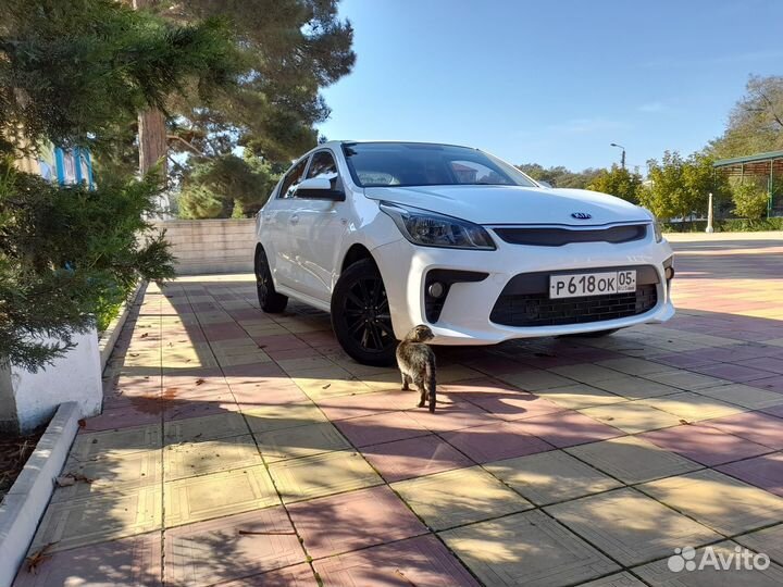 Капот крылья