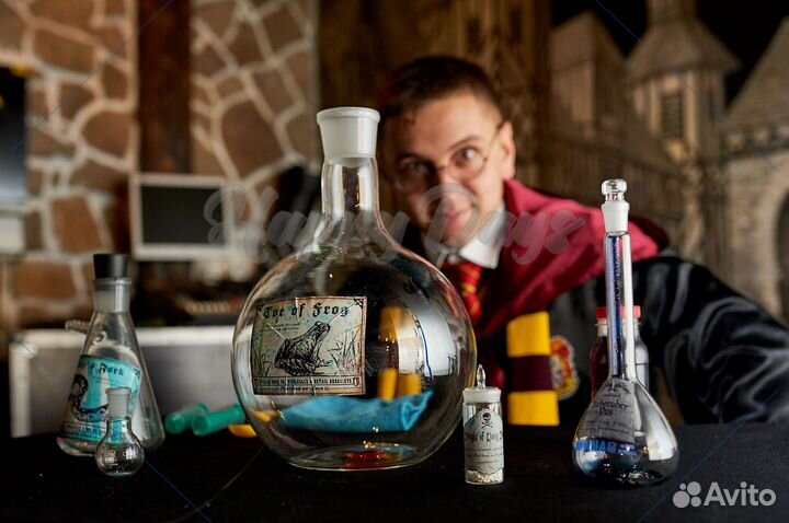 Выездной квест Гарри Поттер на детский праздник