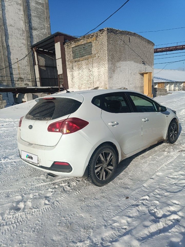 Kia Ceed: фото владельца