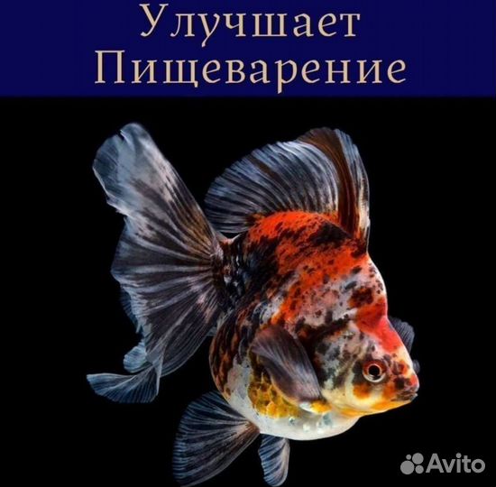 Корм для рыбок