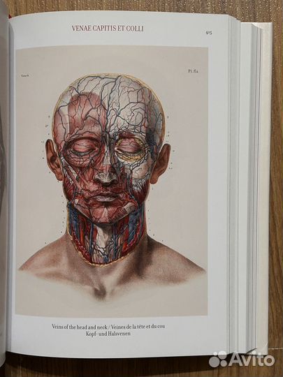 Atlas of human anatomy and surgery