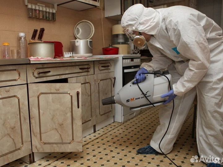 Уничтожение тараканов клопов клещей комаров ос мух