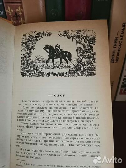 Скарлет, всадник без головы, голова Профессора Доу