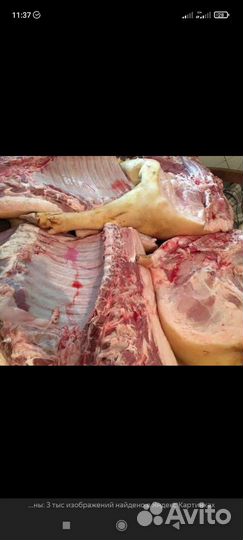 Мясо свинины