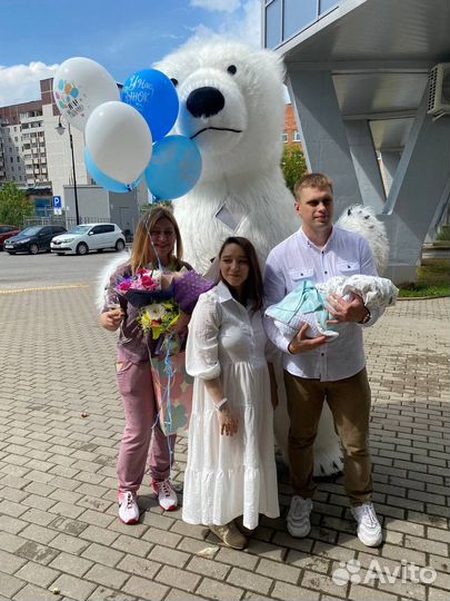 Надувной белый медведь,ростовая кукла