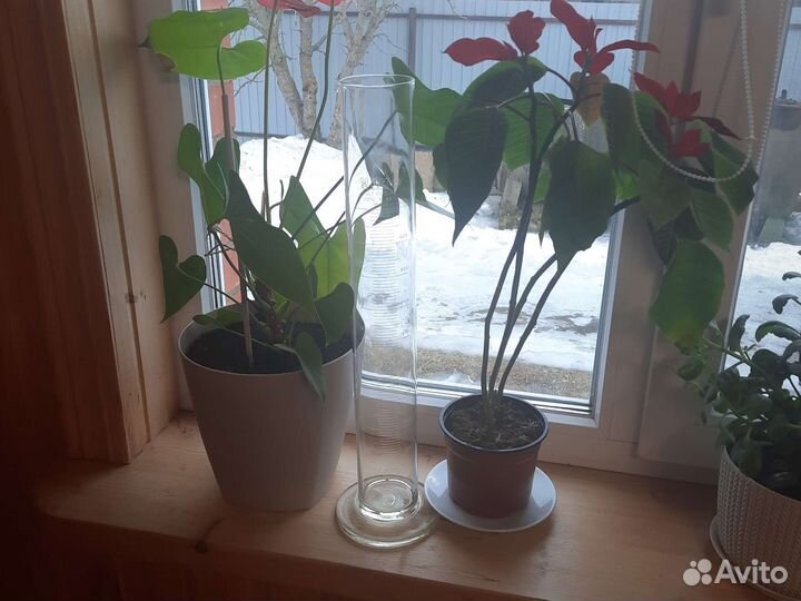 Мерный цилиндр стеклянный 1000 мл