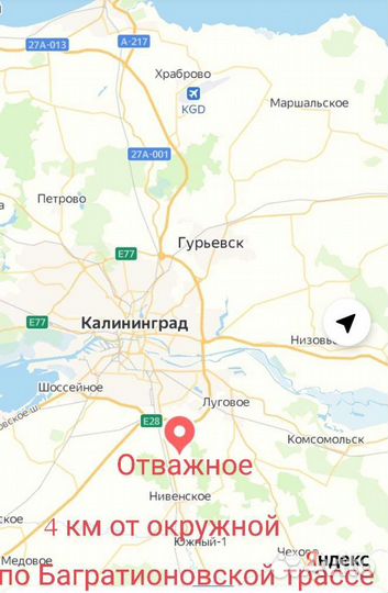 Спирея саженцы