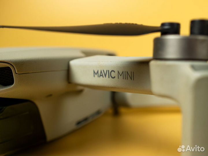 DJI Mavic Mini