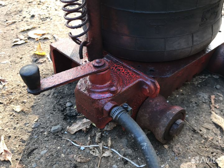 Домкрат ямный