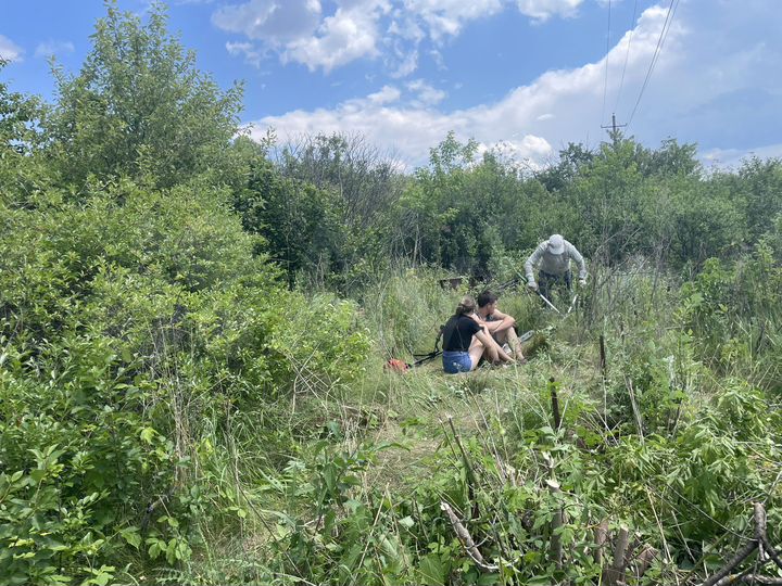 Дача 21 м² на участке 6,2 сот.