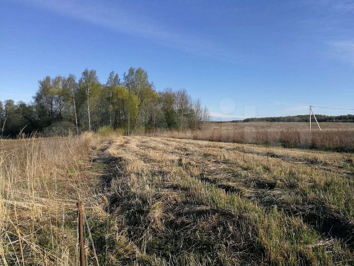 Участок 12 сот. (ИЖС)