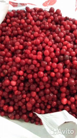 Замороженные ягоды (фрукты, овощи, смеси).Доставка