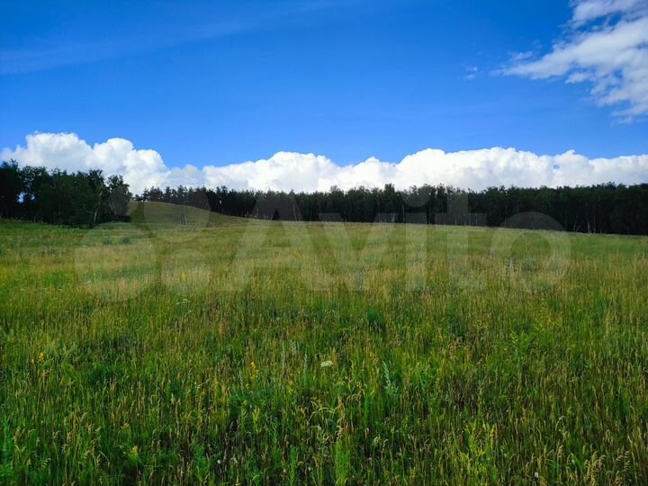 Участок 3 га (СНТ, ДНП)