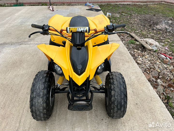 Детский квадроцикл BRP DS 90