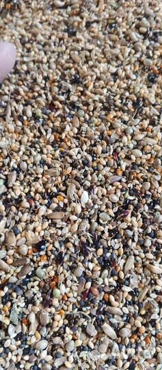 Разнотравье продам