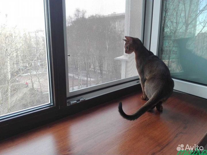 Москитная сетка по вашим размерам