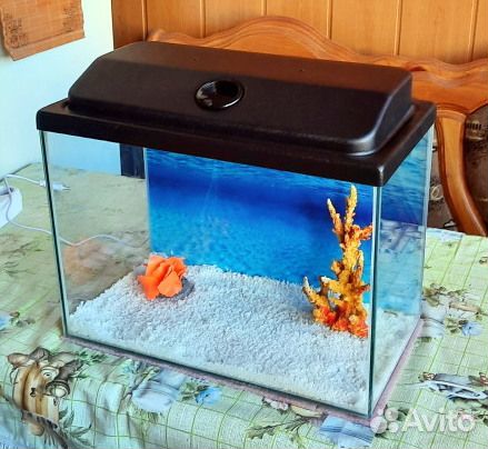 Аквариум с крышкой и освещением
