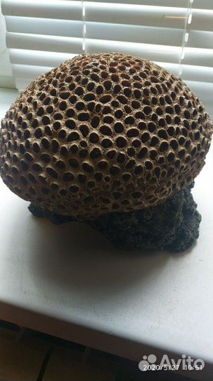 Грот для аквариума