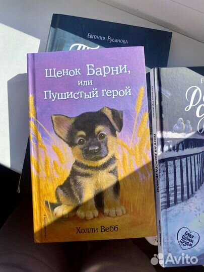 Долгая дорога домой, книги Евгении Русаковой