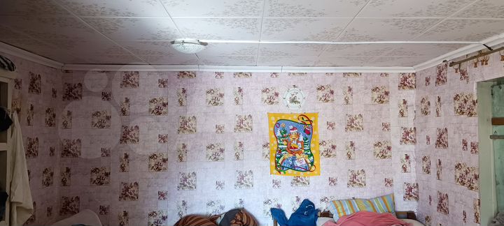 Дача 26 м² на участке 6 сот.