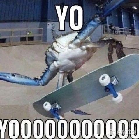 Руль для BMX Fakt, высота 9