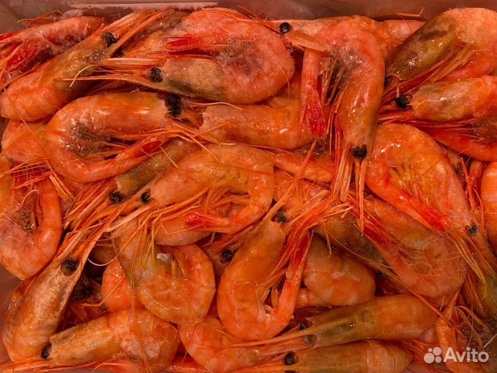 Креветка северная. Свежемороженая оптом