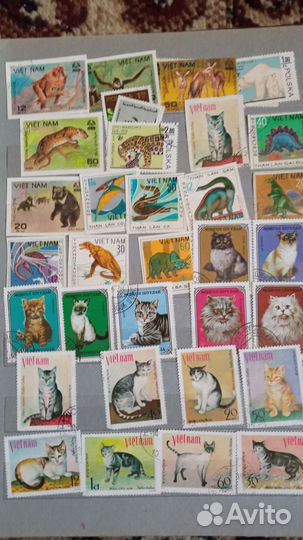 Альбом с марками СССР