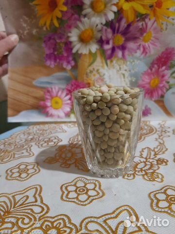 Семена гороха