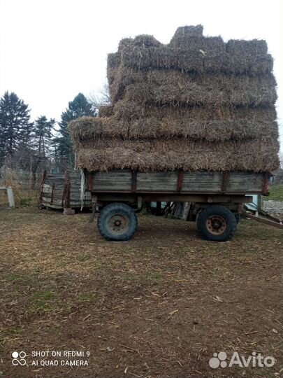 Прицеп тракторный 2ПТС-4 785а, 1989