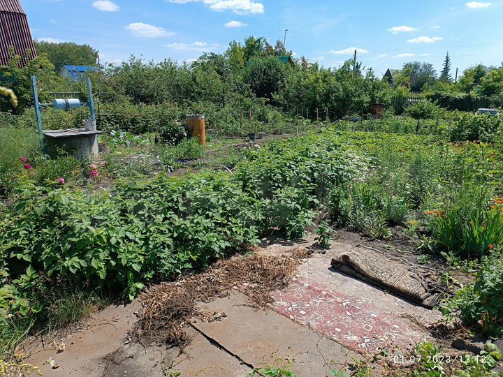 Дача 12 м² на участке 5 сот.