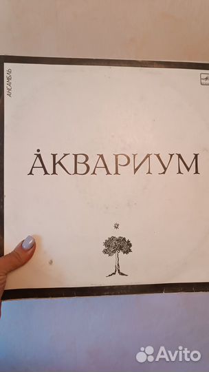 Грампластинки