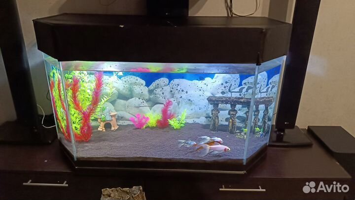 Аквариум 230 литров
