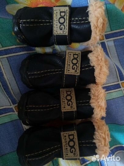 Сапожки для маленьких собак