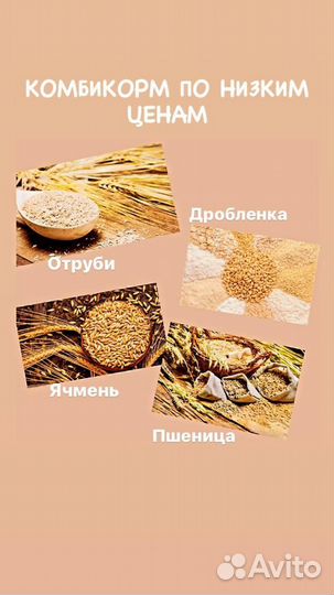 Комбикорм для животных