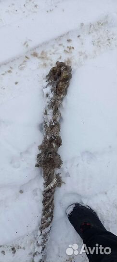 Трос рывковый 6 м