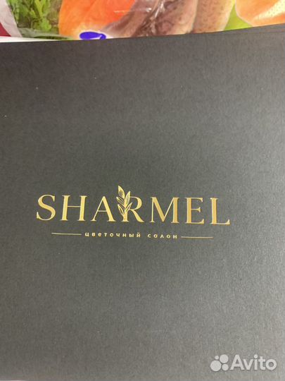 Наза Шармель -1